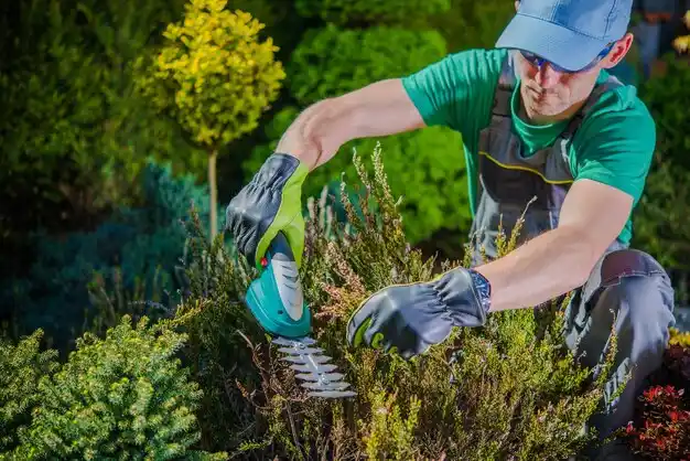 landscaping services Sardinia